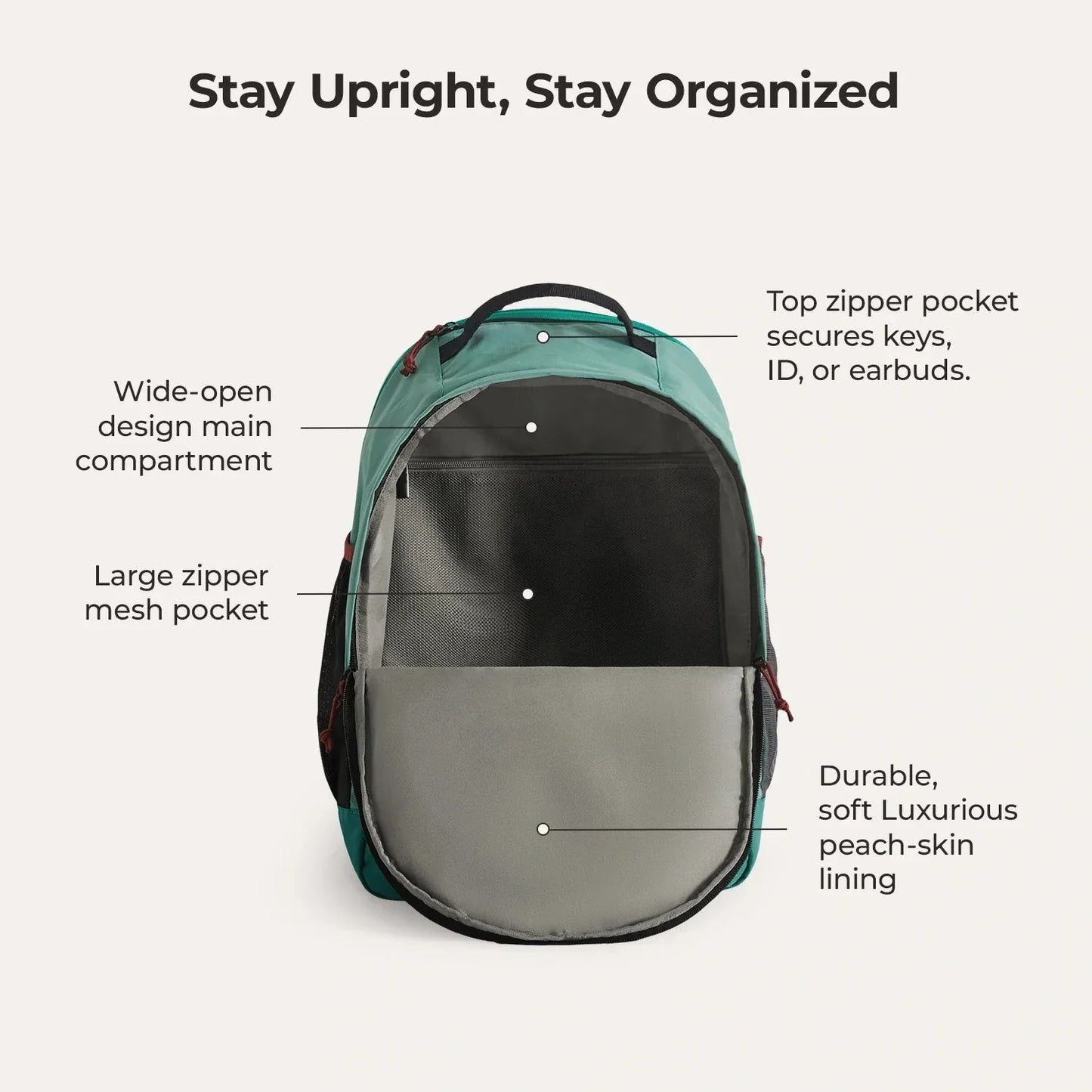 Focus 15.6" Laptop Backpack